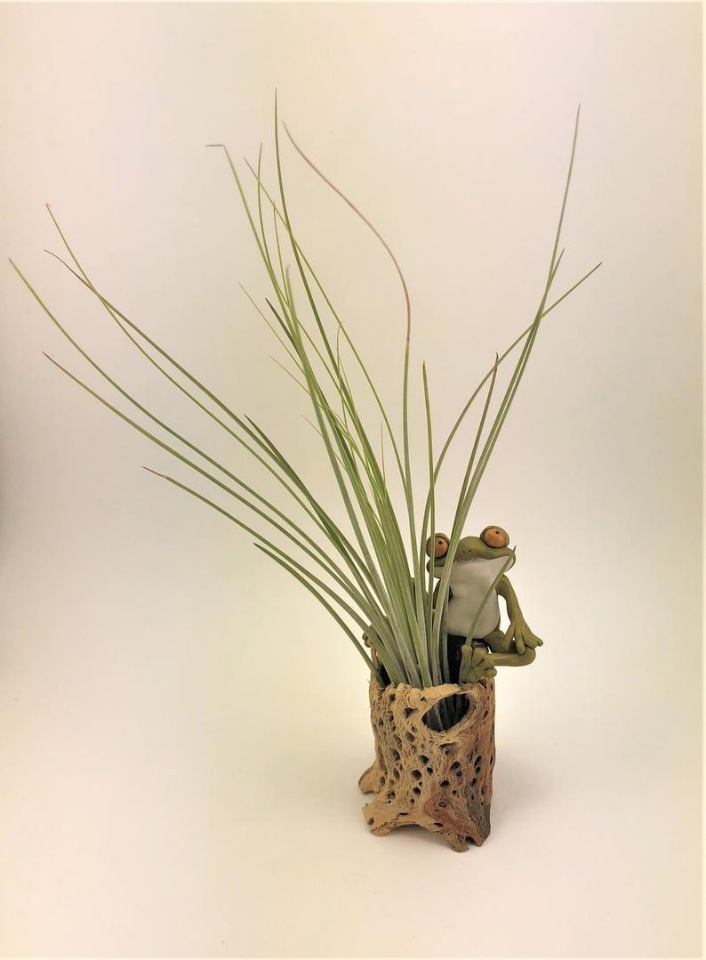 Sandysmallwonder - Авторские скульптуры из полимерной глины by Sandy Lehman - ч.1