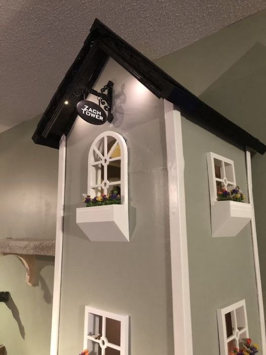 Кошкин дом в доме человека (фото 3)