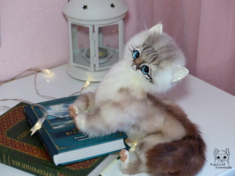 Котенок породы : Невский Маскарадный, окрас сил тэбби пойнт (фото 8)