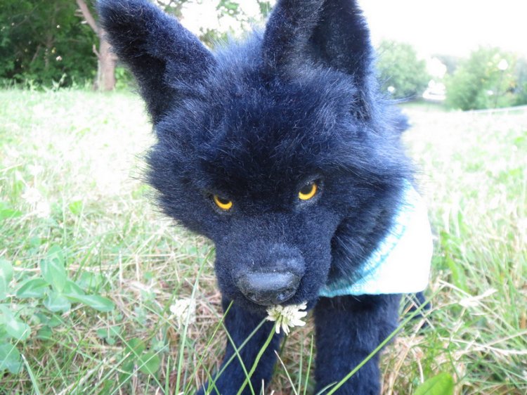 Мой домашний волчок — Домашние фото авторских игрушек: Тедди (фото 7)