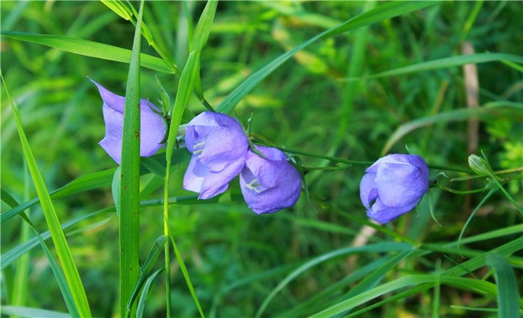 Путешествие Эли на красивый берег реки Волги