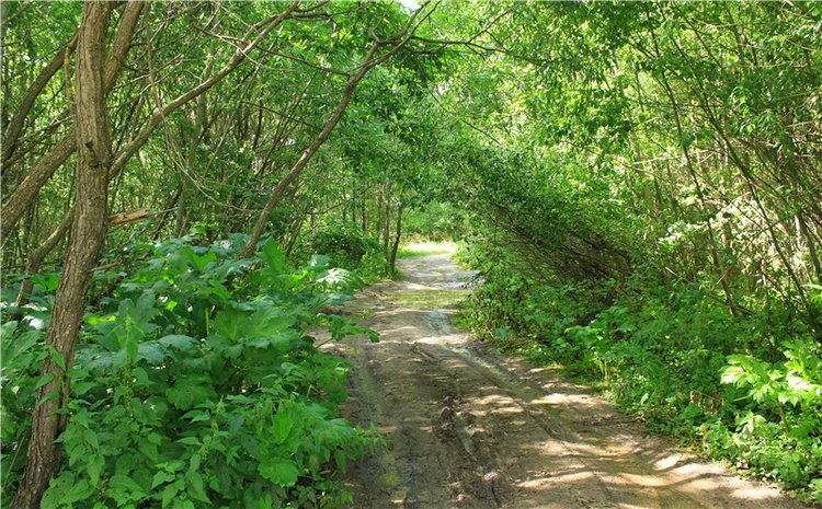 Августовское путешествие в "Сад Камней" | Бэйбики Августовское путешествие в "Сад Камней"