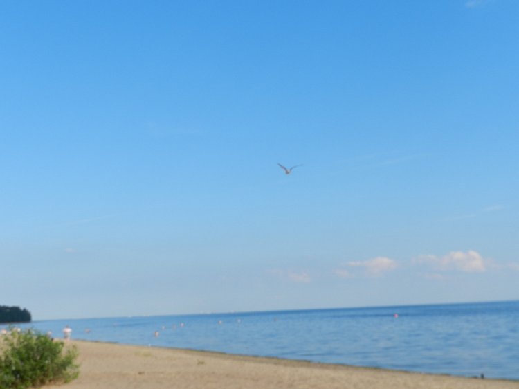 Немного позитива с Финского залива