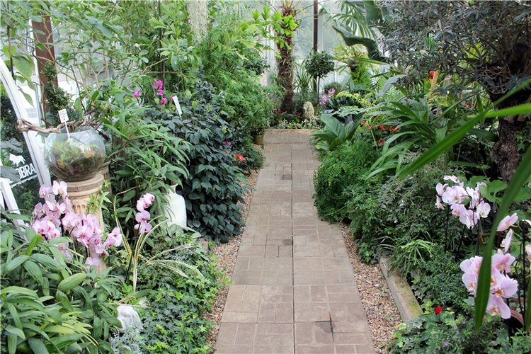 Тверской Ботанический Сад, продолжение | Бэйбики Тверской Ботанический Сад, продолжение