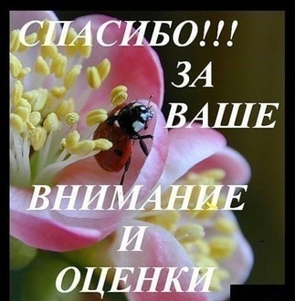 Комбезы и туника по МК в моём исполнении