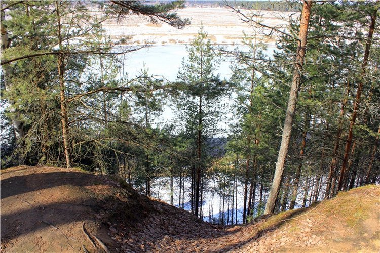 Весна в "Саду Камней" | Бэйбики Весна в "Саду Камней" — Куклы Meadow dolls (Медовушки): BJD (БЖД)