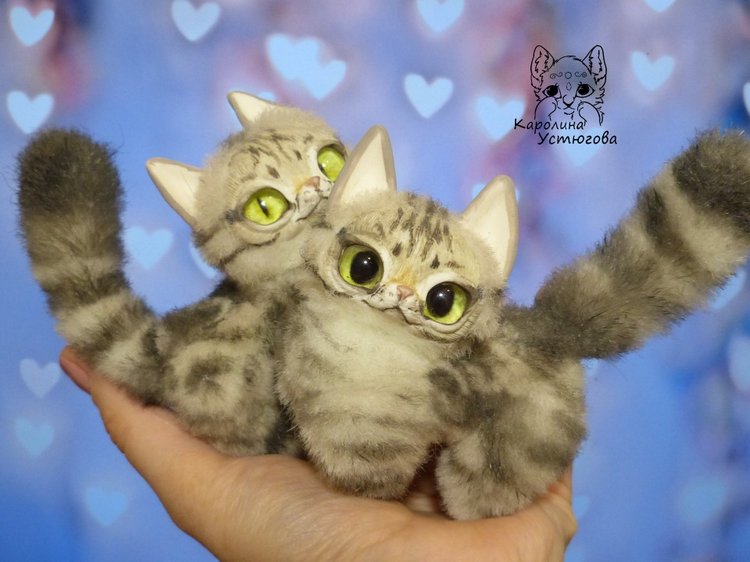 Американские короткошерстные котята (фото 3)