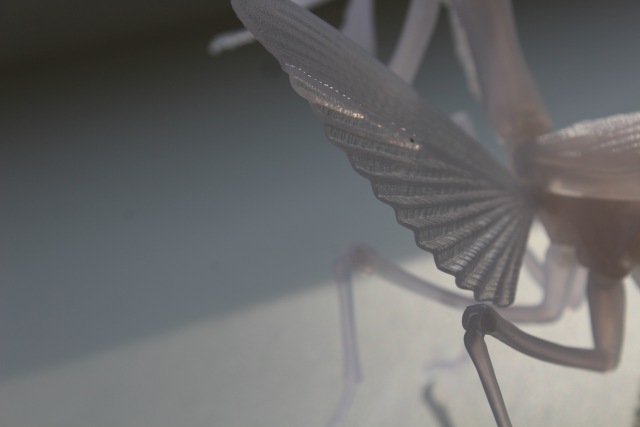 Нежный хищник — Коллекционные экшн (фото 8)