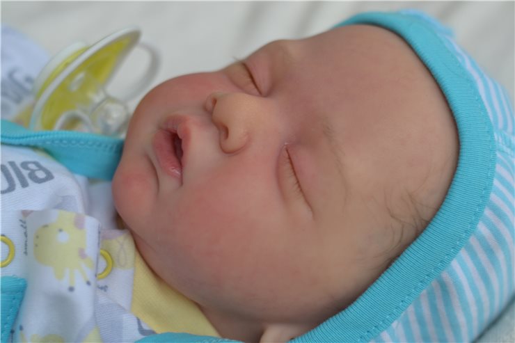 Малыши реборн, молд Yannies от Gudrun Legler