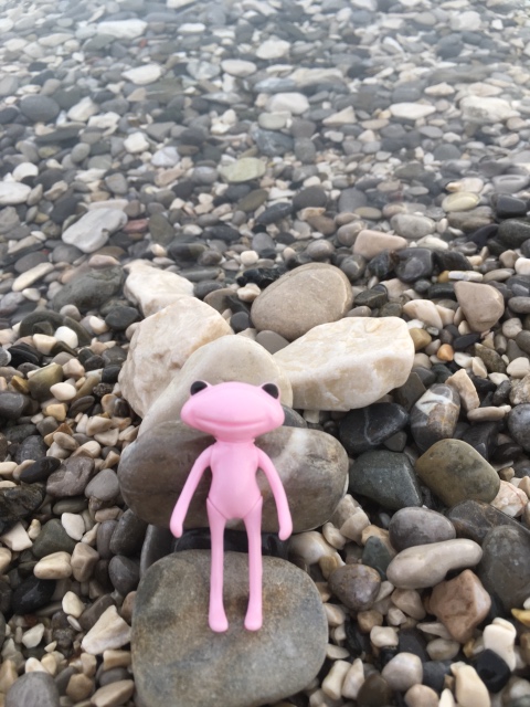 Таша Wonderfrog в Черногории