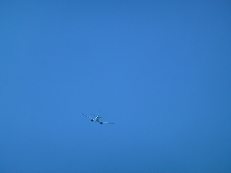 Краснодарский Край, Сочи-Адлер, Санаторий «Южное Взморье»