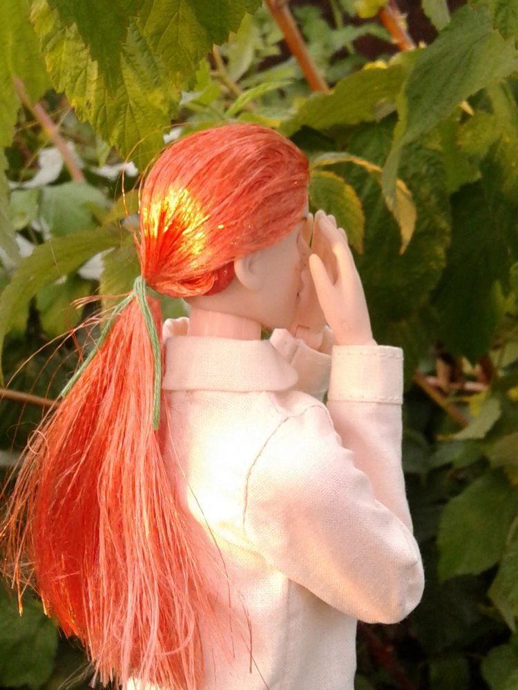 Кто же там, в малиннике — Куклы и тела Obitsu (Обитсу): 1/6 (фото 9)