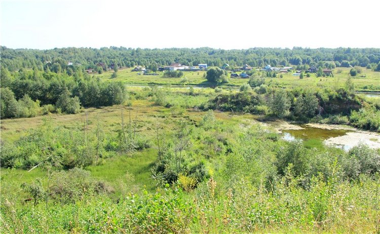 Инопланетянка Нийя. Custom Blythe Doll UFO Go Go Takara