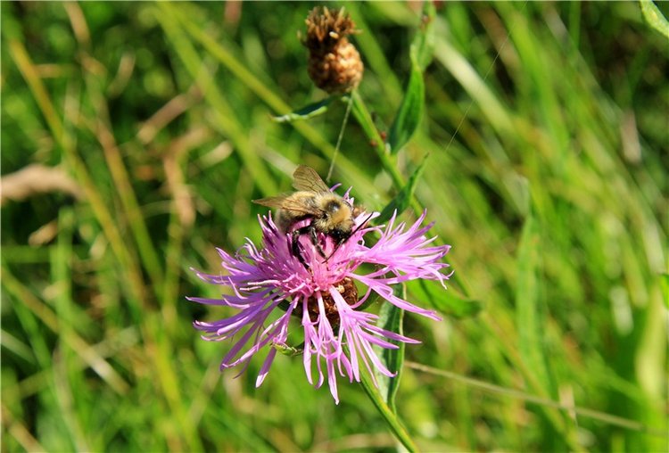 Старицкая Швейцария. Старицкие пещеры, д. Толпино, заключительная часть
