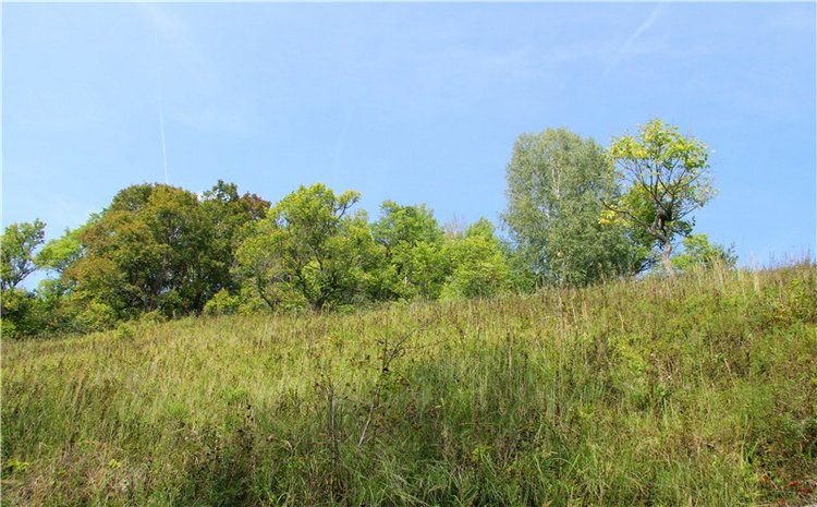 Старицкая Швейцария. Путешествие с Сашей, продолжение. Уникальная кукла от Сильвии Наттерер