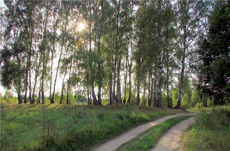 Старицкая Швейцария. Старицкие пещеры, д. Толпино