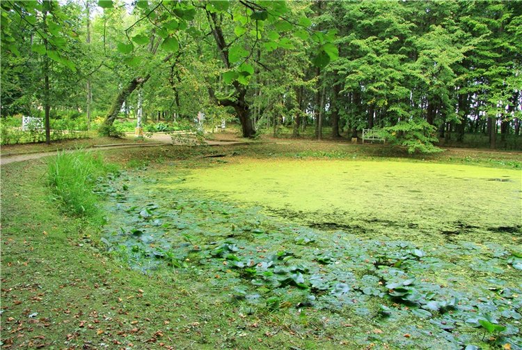 Августовская прогулка в Берново. Zwergnase Mischa