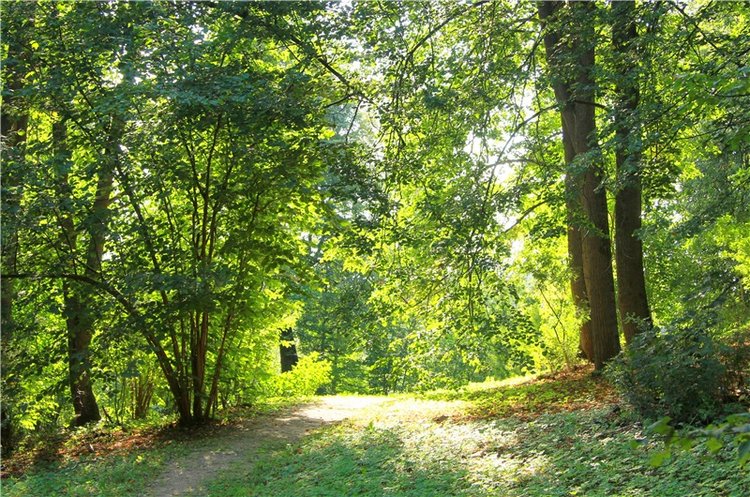 Августовская прогулка в Берново. Zwergnase Mischa