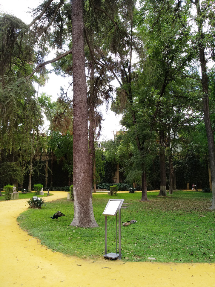 Тайна моего имени. Часть восьмая. Испания, Севилья. Колумб повсюду