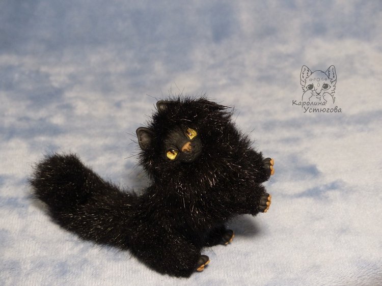 Кот породы Мейн-ку́н, черный. Я к удаче