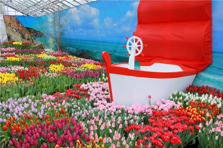 Тюльпановый Рай, продолжение. Выставка тюльпанов в Твери. Mini Layla elf Sunkissed skin от Kaye Wiggs