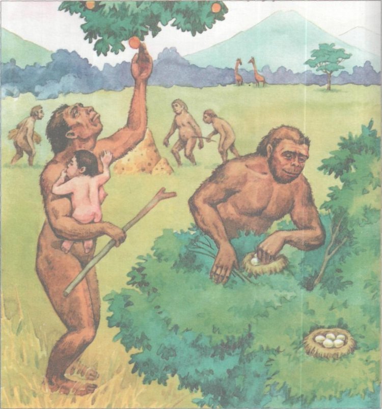 А кто ты — Болталка и разговоры обо всем: жизнь (фото 3)