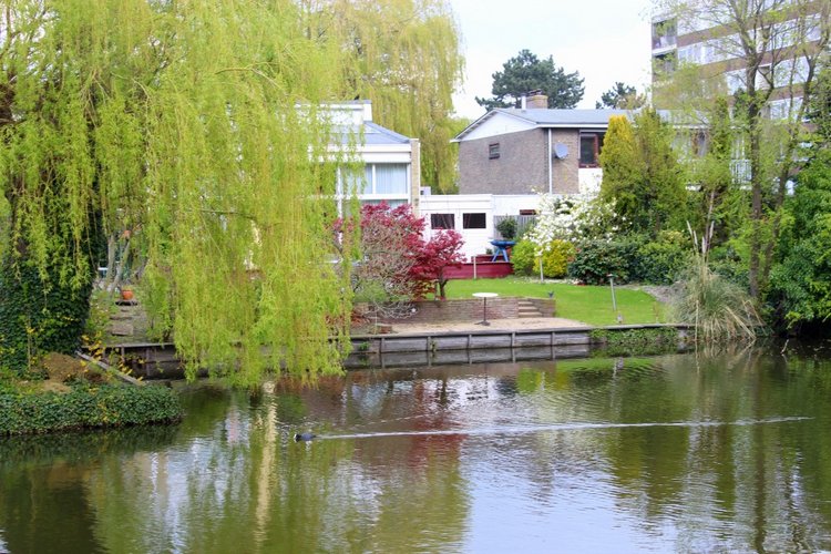 Цветущая Сакура. Прогулка по парку с Алисой. Весенние зарисовки