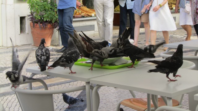 Галопом по Европам. Испания-Португалия, нашими глазами