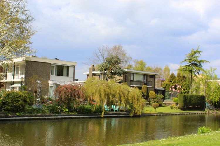 Цветущая Сакура. Прогулка по парку с Алисой. Весенние зарисовки