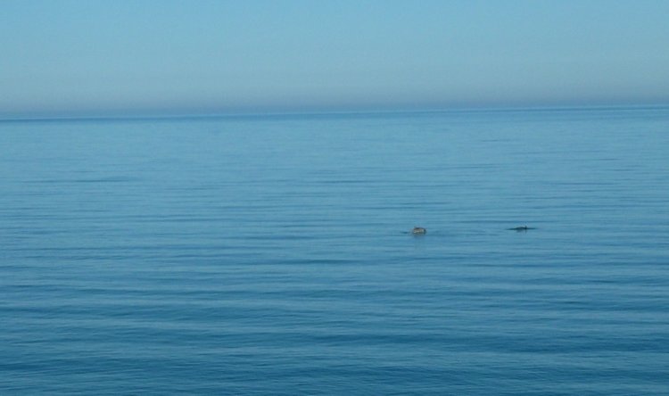 Сочи-Адлер: Южное Взморье - Красоты Черного Моря