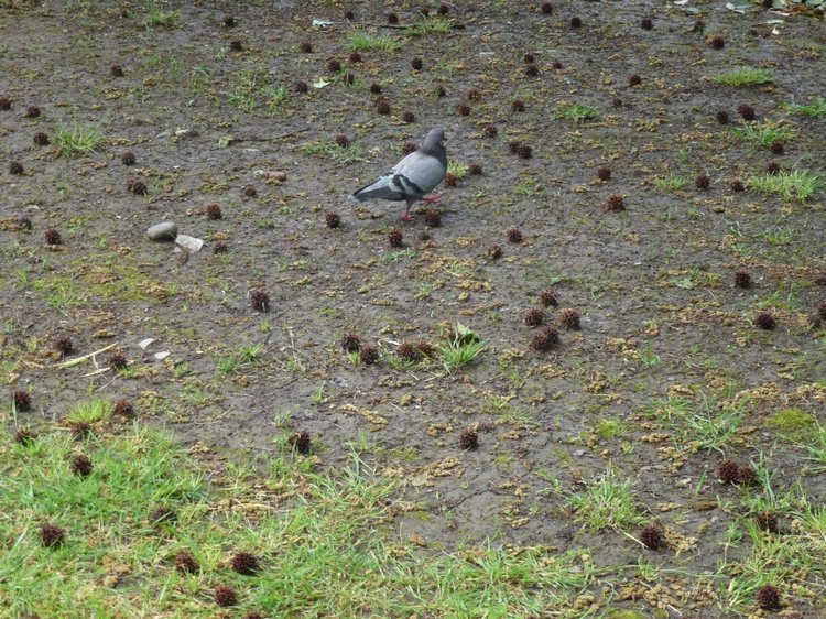 Сочи-Адлер: Южное Взморье - виртуальное путешествие по территории санатория