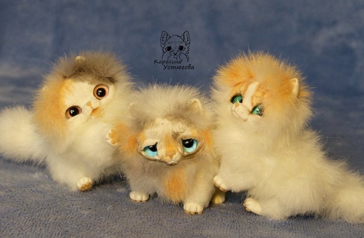 Три котенка Джейн, Пирожок и Апельсинчик (фото 4)