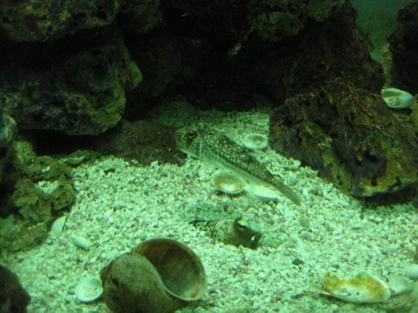 Путешествие на о. Кипр — Туризм и путешествия: фотоотчеты из поездок