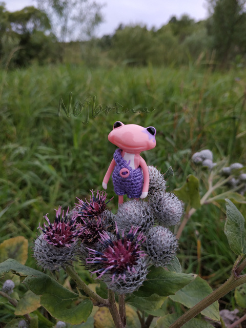 Wonderfrog. Красота в простоте