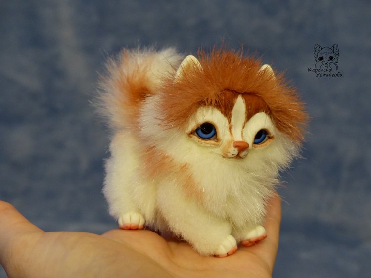 Щенок Хаски, миниатюра. Медный Окрас (фото 10)