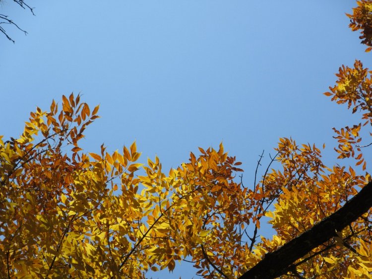 Выходной с Хеленой в Таганроге