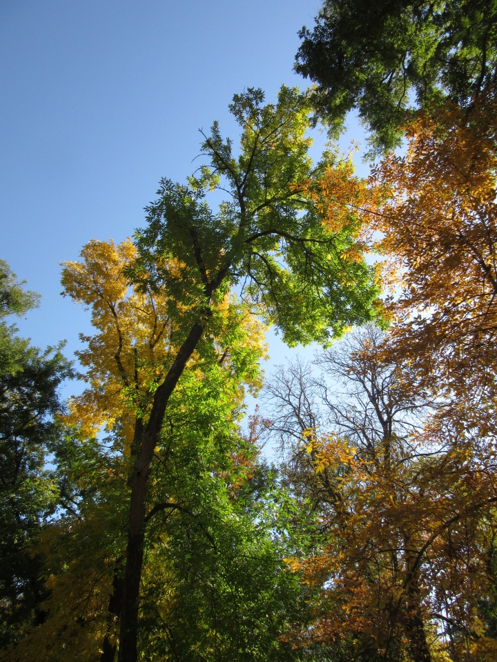 Выходной с Хеленой в Таганроге
