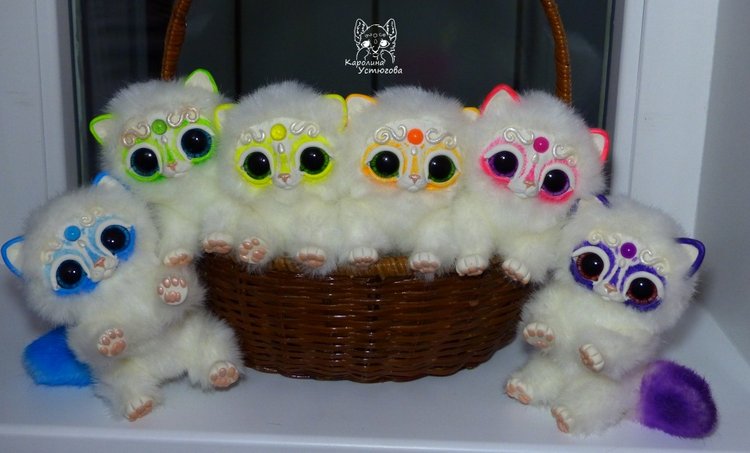 Королевские волшебные коты, породы: Мирис. В кадре и за кадром. Процесс (фото 2)