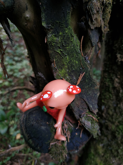 Wonderfrog. Красота в простоте. Часть 2