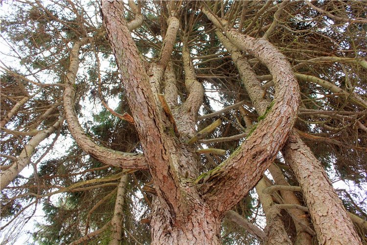 Путешествие в первый день Весны