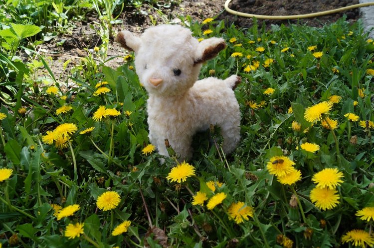 Кукольная лечебница. Новые куколки выписаны - они полностью здоровы