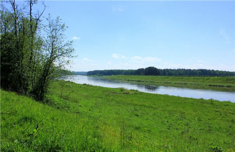 Эля в Иванишах. Twinkles Ella Chocolate