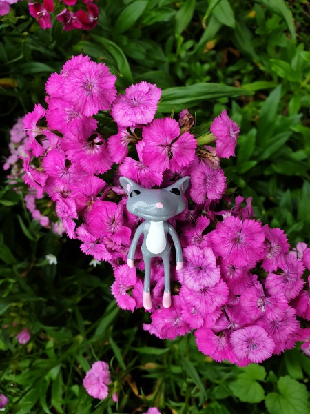 Лягушонок превращается в... мышонка