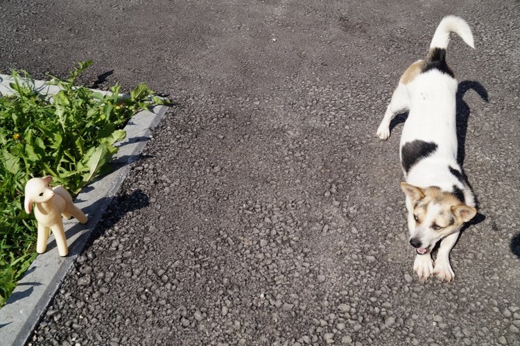 Суббота - день выписки из кукольной лечебницы