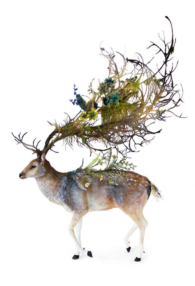 EllenJewettPrintShop - "Сюрреалистическая естественная история" by Ellen Jewett