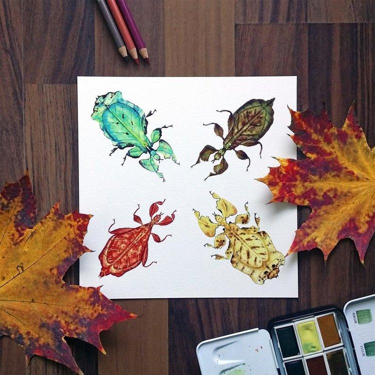 SnailMaidenStudio - Акварельные иллюстрации маленьких живых существ