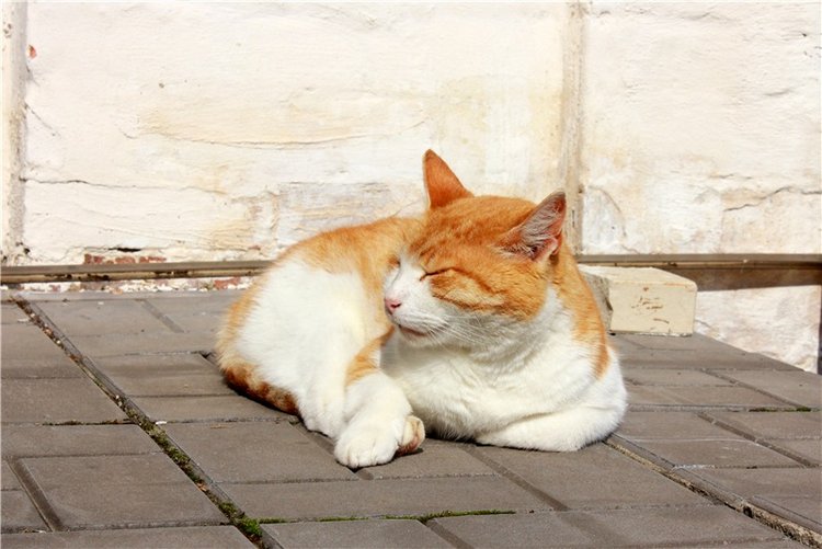 Сентябрьское путешествие в Старицу. Старицкий Свято-Успенский Монастырь