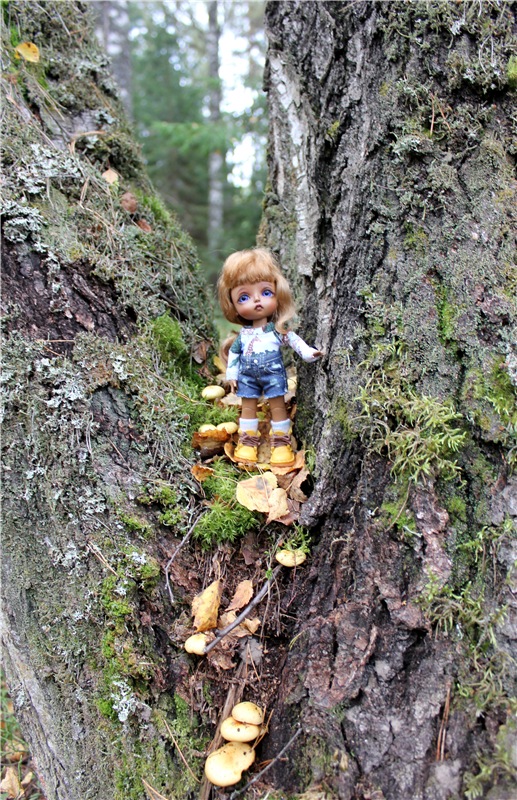 Ния и лисичка Фенек. Lati Yellow Nia Brown tan | Бэйбики Ния и лисичка Фенек. Lati Yellow Nia Brown tan