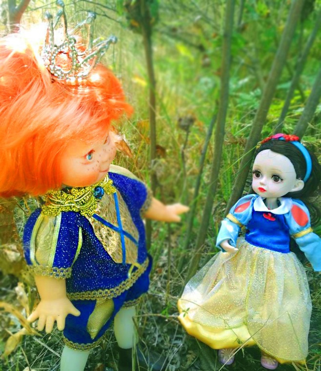 Осеннею порой под старою сосной... Принц, Белоснежка и гномы... встречаются (фото 5)