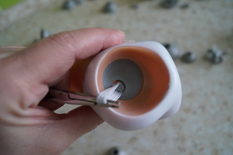 Вы ждали субботу? Заходите в гости! Выписка куколок